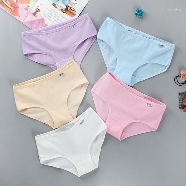 panties teenager briefs girls underwear cotton sports letters breathable pupils 8-12-14 years1, Camo
panties teenager briefs girls underwear cotton sports letters breathable pupils 8-12-14 years1, Camo