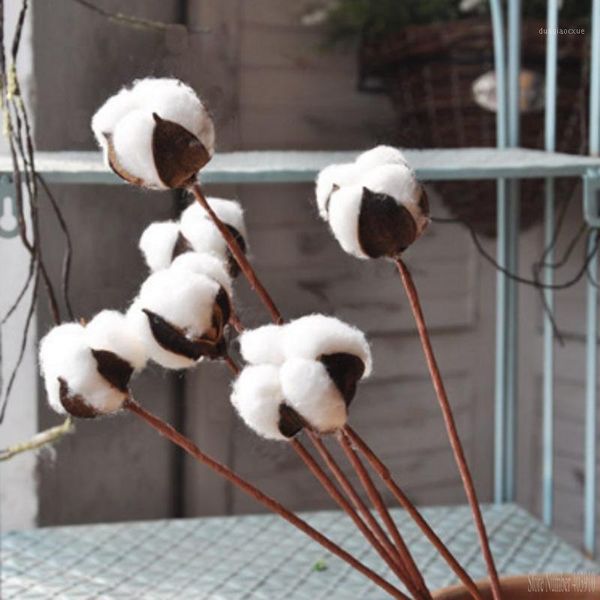 decorative flowers & wreaths 1 pcs artificial cotton flower simulation white holy poetic style wedding decoration for home party office1
decorative flowers & wreaths 1 pcs artificial cotton flower simulation white holy poetic style wedding decoration for home party office1