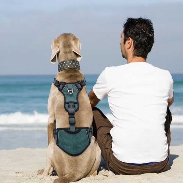 reflective nylon dog harness for medium large dogs no pull large dog harness vest for french bulldog pitbull walking sqcadf
reflective nylon dog harness for medium large dogs no pull large dog harness vest for french bulldog pitbull walking sqcadf