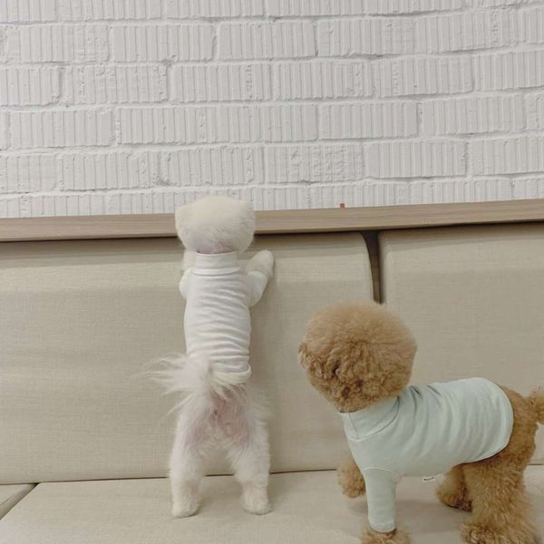 the paws milk bag belle stick dark pattern small high collar pet dog clothing autumn and winter bottoming shirt
the paws milk bag belle stick dark pattern small high collar pet dog clothing autumn and winter bottoming shirt