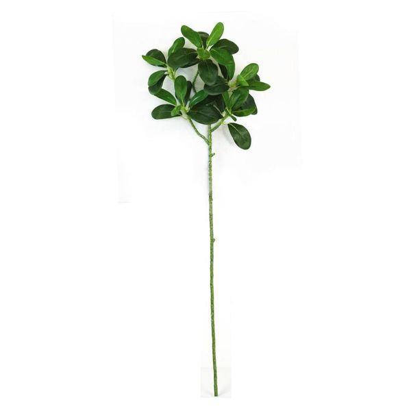 simulation banyan artificial plants home decor landscaping branches natural indoor use pvc lifelike treeleaf green fake leaves
simulation banyan artificial plants home decor landscaping branches natural indoor use pvc lifelike treeleaf green fake leaves