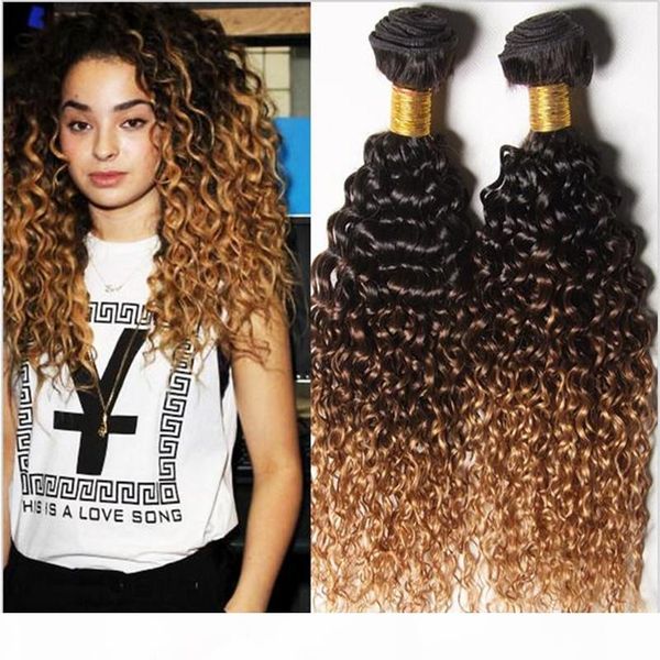 #1b 4 27 three tone ombre brazilian virgin human hair weave bundles 3pcs jerry curly honey blonde ombre human hair extensions double wefts, Black
#1b 4 27 three tone ombre brazilian virgin human hair weave bundles 3pcs jerry curly honey blonde ombre human hair extensions double wefts, Black