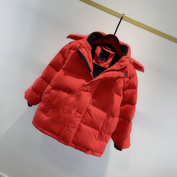 hooded thickened imported white duck down warm down jacket high-tech back luminous pressure wind boys and girls jacket ing, Black
hooded thickened imported white duck down warm down jacket high-tech back luminous pressure wind boys and girls jacket ing, Black