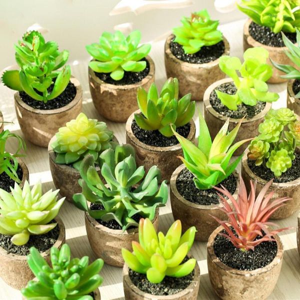 4pcs/set simulation succulent plants artificial potted plant indoor ornaments perfect ornaments for home, office, etc1
4pcs/set simulation succulent plants artificial potted plant indoor ornaments perfect ornaments for home, office, etc1