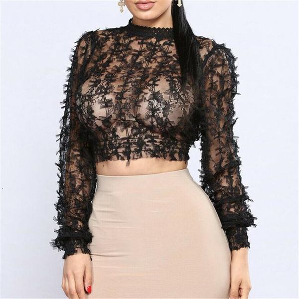 women's lace fishnet new solid color long sleeves mesh sheer wear fashion female short slim t-shirt autumn sale, White
women's lace fishnet new solid color long sleeves mesh sheer wear fashion female short slim t-shirt autumn sale, White