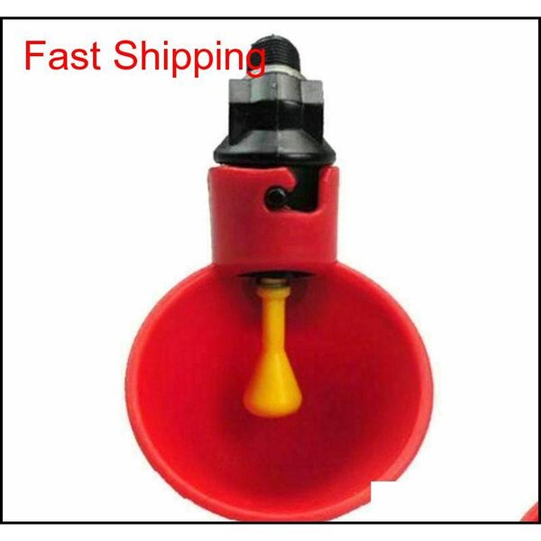 20 pcs chicken drinking cup matic drinker chicken feeder plastic poultry water drinking cups easy inst qylega packing2010
20 pcs chicken drinking cup matic drinker chicken feeder plastic poultry water drinking cups easy inst qylega packing2010