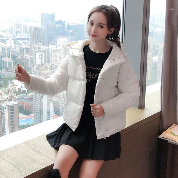 2020 winter women jacket streetwear zipper padded coats korean style solid loose causal fashion parkas jaqueta feminina w4201, Black
2020 winter women jacket streetwear zipper padded coats korean style solid loose causal fashion parkas jaqueta feminina w4201, Black