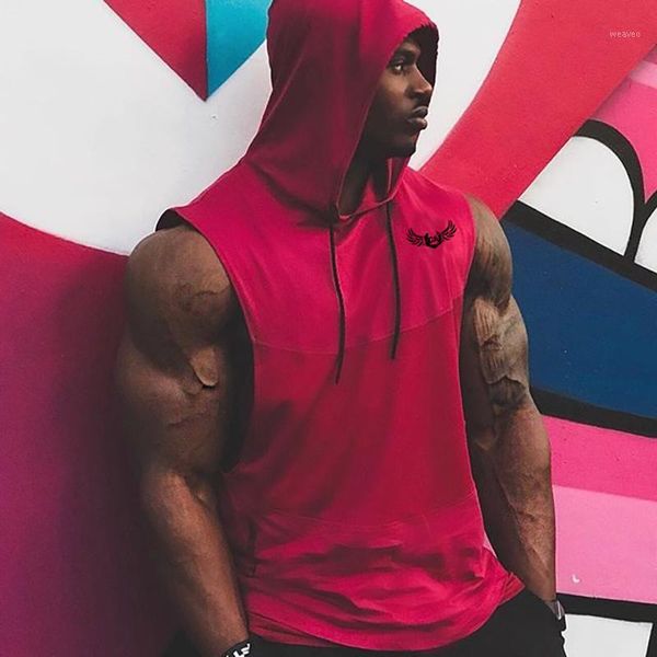 yanqin men cotton sleeveless hoodies sweatshirts male gyms fitness bodybuilding workout hooded vest casual fashion sportswear1, White;black
yanqin men cotton sleeveless hoodies sweatshirts male gyms fitness bodybuilding workout hooded vest casual fashion sportswear1, White;black