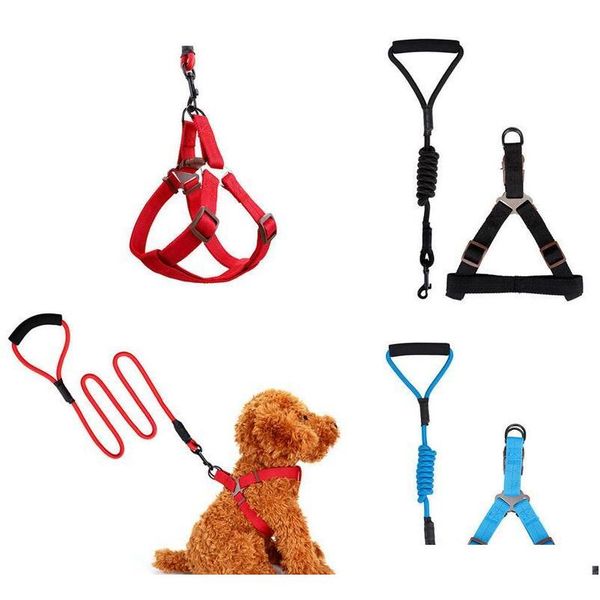 pet dog training leash collar 5 colors 120cm dog leashes with harness multi colors durable traction rope eea298 vb62o
pet dog training leash collar 5 colors 120cm dog leashes with harness multi colors durable traction rope eea298 vb62o