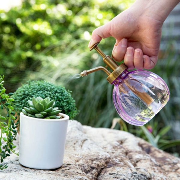1pcs 350ml antique plastic plant flower watering pot spray bottle garden hairdressing sprayer
1pcs 350ml antique plastic plant flower watering pot spray bottle garden hairdressing sprayer