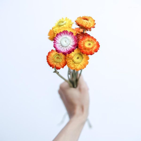 decorative flowers & wreaths 15pcs/30pcs small daisy chrysanthemum home decoration dry flower fresh arrangement diy eternal natural air-drie
decorative flowers & wreaths 15pcs/30pcs small daisy chrysanthemum home decoration dry flower fresh arrangement diy eternal natural air-drie