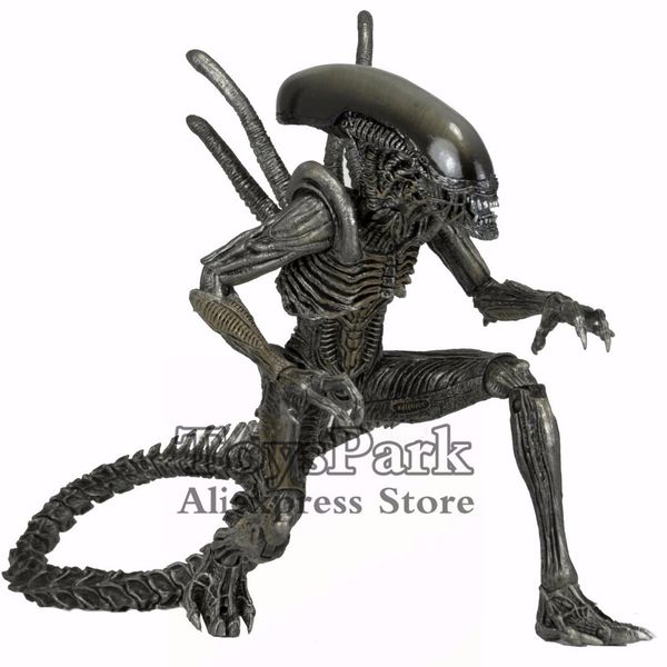 aliens 7" avp warrior alien action figure alien vs predator ko's neca series 7 toys doll 1008
aliens 7" avp warrior alien action figure alien vs predator ko's neca series 7 toys doll 1008