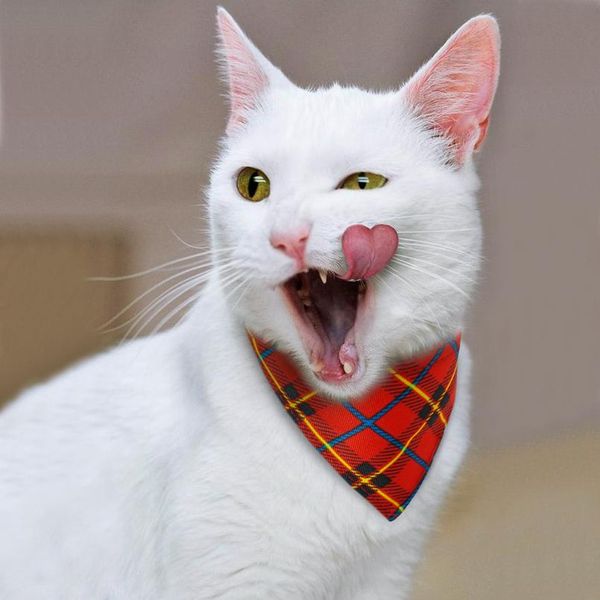 dog cat bandana collar plaid pet accessories puppy scarf neckerchief collars adjustable for small dogs cats kitten chihu wmtwhy
dog cat bandana collar plaid pet accessories puppy scarf neckerchief collars adjustable for small dogs cats kitten chihu wmtwhy