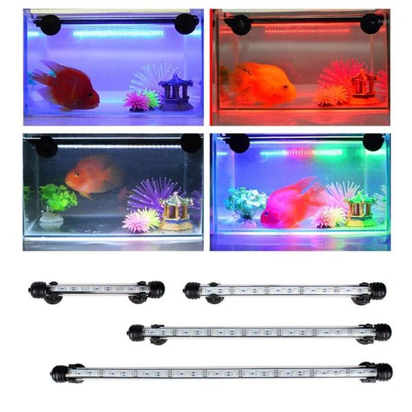 plug rgb remote aquarium fish tank led light waterproof smd bar lamp submersible1 aquariums lighting
plug rgb remote aquarium fish tank led light waterproof smd bar lamp submersible1 aquariums lighting