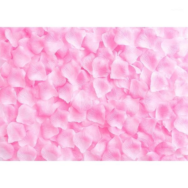 p backgrounds pink petals custom vinyl cloth pgraphy backdrops for wedding lovers valentine's day pcall pbooth1
p backgrounds pink petals custom vinyl cloth pgraphy backdrops for wedding lovers valentine's day pcall pbooth1