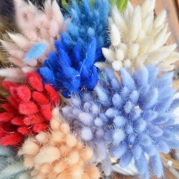 30pcs rabbit tail grass natural dried flowers for home decoration flower arrangement lagurus ovatus real flower gra bbyypp
30pcs rabbit tail grass natural dried flowers for home decoration flower arrangement lagurus ovatus real flower gra bbyypp