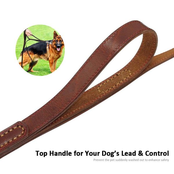 geniune leather pet dog leash rope pet k9 training walking lead leashes for medium large dogs quick control with 2 wmtbgr
geniune leather pet dog leash rope pet k9 training walking lead leashes for medium large dogs quick control with 2 wmtbgr