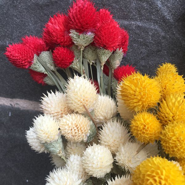 36pcs dried flower,nature real dry berry flowers ,diy floral display plant for wedding bouquet home room party , gift box decor 1022
36pcs dried flower,nature real dry berry flowers ,diy floral display plant for wedding bouquet home room party , gift box decor 1022