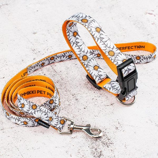 personalized dog collar leash set thermal transfer print nylon dog necklace super strong durable collar for small medium pets
personalized dog collar leash set thermal transfer print nylon dog necklace super strong durable collar for small medium pets