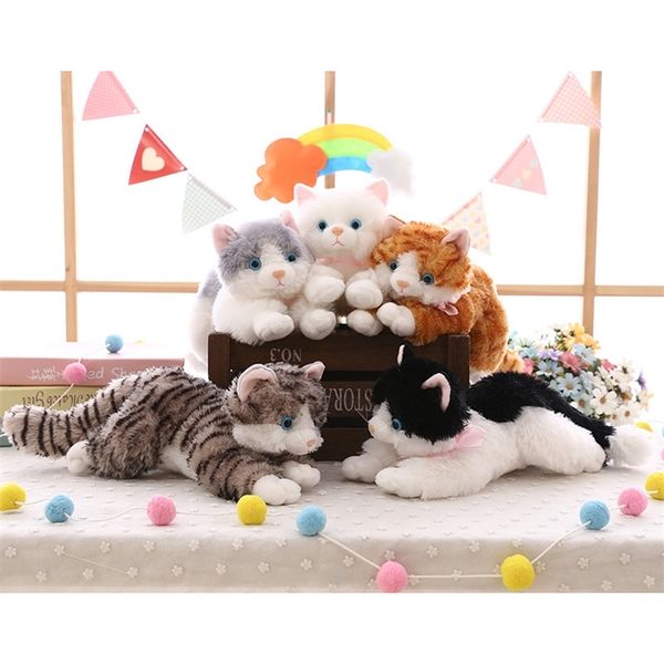 new cute plush cat white black soft stuffed plush toy animal gift for children boy girl toy gift 35-40cm y200623
new cute plush cat white black soft stuffed plush toy animal gift for children boy girl toy gift 35-40cm y200623