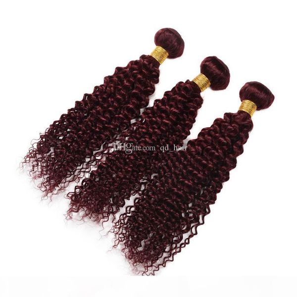 burgundy indian virgin hair kinky curly 3 bundles red wine 9a unprocessed wine red virgin hair 99j kinky curly human hair 10-30inch, Black
burgundy indian virgin hair kinky curly 3 bundles red wine 9a unprocessed wine red virgin hair 99j kinky curly human hair 10-30inch, Black