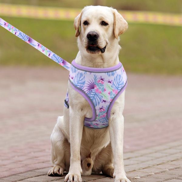 reflective dog harness and leash set fashion printed no pull pet dog harness vest lead leash for small medium la bbylus
reflective dog harness and leash set fashion printed no pull pet dog harness vest lead leash for small medium la bbylus