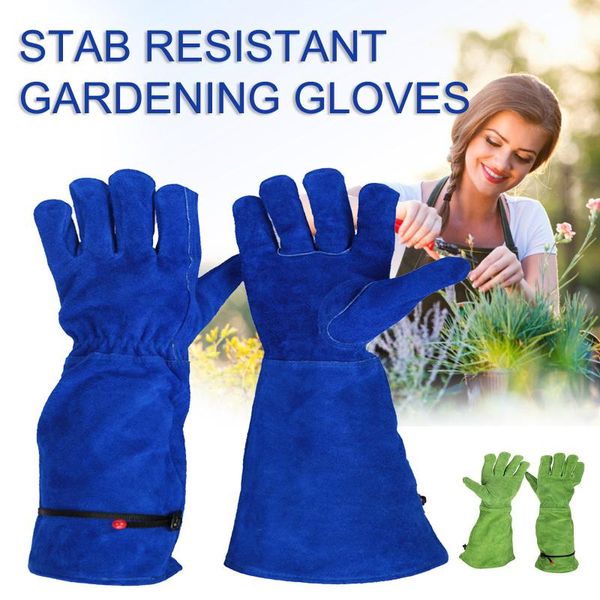 disposable gloves 40# cactus rose pruning leather thorn proof long sleeve gardening gauntlet for men and women garden tools
disposable gloves 40# cactus rose pruning leather thorn proof long sleeve gardening gauntlet for men and women garden tools