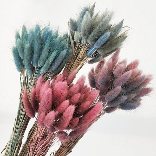 30pcs/lot gradient lagurus ovatus natural dried flowers bouquet wedding home easter decorations rabbit tail grass real wmtnak
30pcs/lot gradient lagurus ovatus natural dried flowers bouquet wedding home easter decorations rabbit tail grass real wmtnak