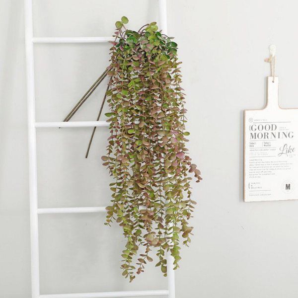 decorative flowers & wreaths ins style eucalyptus leaf simulation plant nordic round plastic flower money indoor wall hanging decoration for
decorative flowers & wreaths ins style eucalyptus leaf simulation plant nordic round plastic flower money indoor wall hanging decoration for