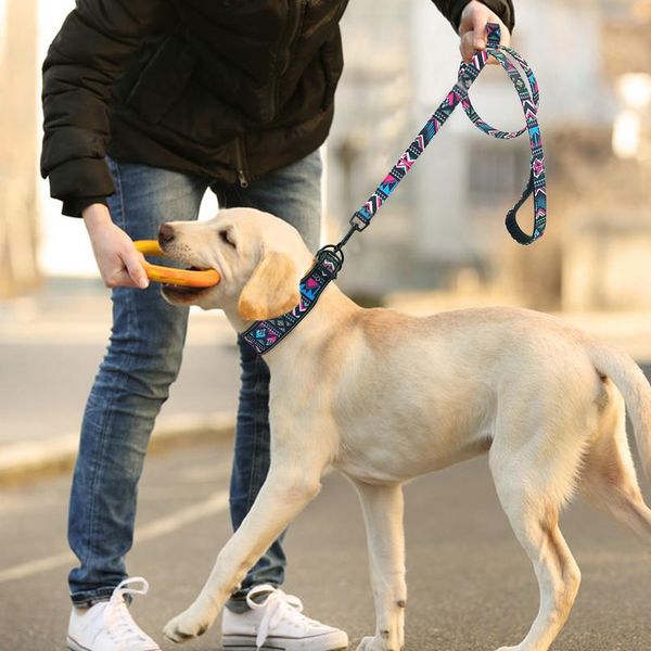 soft nylon dog collar and leash set reflective padded dog collar fashion printed adjustable pet collars for medium la sqcude
soft nylon dog collar and leash set reflective padded dog collar fashion printed adjustable pet collars for medium la sqcude