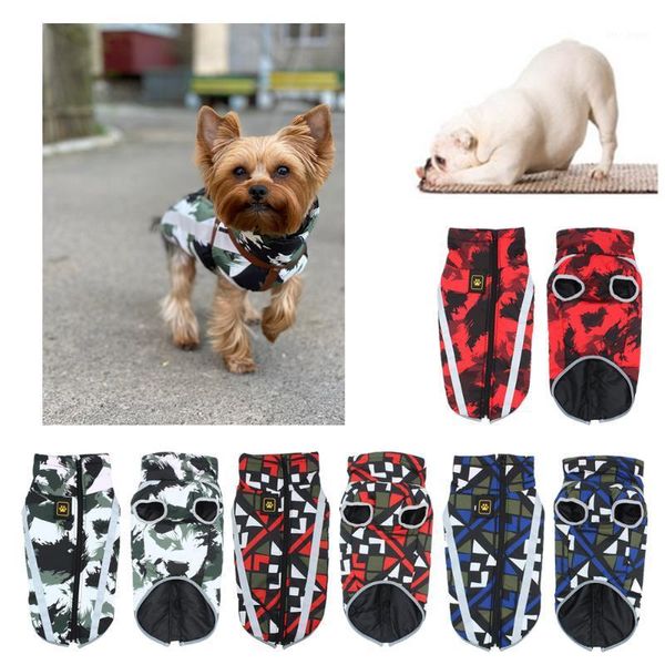 winter warm dog vest jacket cotton pet coat waterproof dog pet clothes for small large dogs chihuahua clothing1
winter warm dog vest jacket cotton pet coat waterproof dog pet clothes for small large dogs chihuahua clothing1