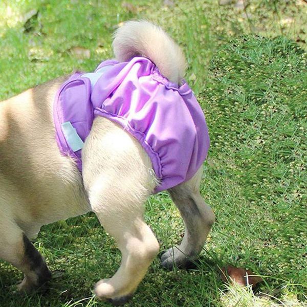 pet dog menstrual physiological pants washable reusable panty sanitary pants nappy new for female dog underwear pet supplies
pet dog menstrual physiological pants washable reusable panty sanitary pants nappy new for female dog underwear pet supplies