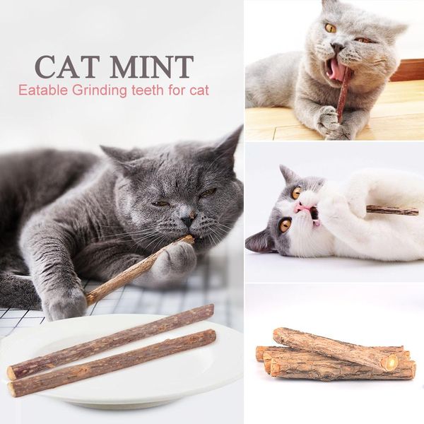 5шт lot cat очистки зубов catnip pet cat молярная зубная паста палка фрукты matatabi cat закуски палочки для питомцев bbycuf bwkf
5шт lot cat очистки зубов catnip pet cat молярная зубная паста палка фрукты matatabi cat закуски палочки для питомцев bbycuf bwkf