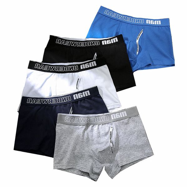 brand cotton mens men cartoon cute pig underpants male pure panties cuecas 365 underwear boxer shorts man
brand cotton mens men cartoon cute pig underpants male pure panties cuecas 365 underwear boxer shorts man