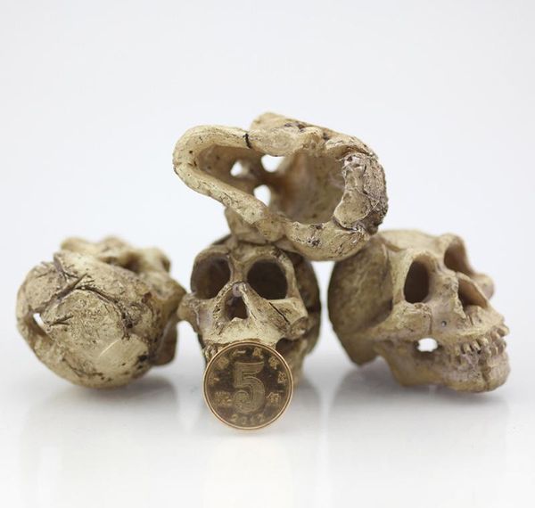 simulation resin tank cave fish rhino decoration sheepshead skull aquarium landscape ornament statue terrarium artifical reptile bbyhm
simulation resin tank cave fish rhino decoration sheepshead skull aquarium landscape ornament statue terrarium artifical reptile bbyhm