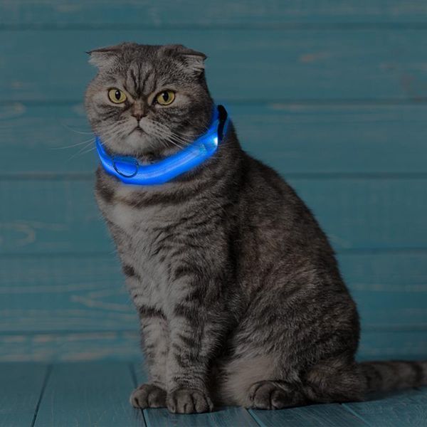 dog collars & leashes led nylon luminous collar for night safety portable anti-lost puppies cats and dogs colorful fluorescent pet good
dog collars & leashes led nylon luminous collar for night safety portable anti-lost puppies cats and dogs colorful fluorescent pet good