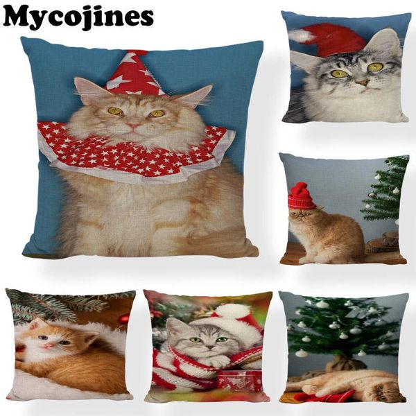 promotion cute cat christmas pillowcase christmas tree hat living room sofa bedroom office decoration cushion cover
promotion cute cat christmas pillowcase christmas tree hat living room sofa bedroom office decoration cushion cover