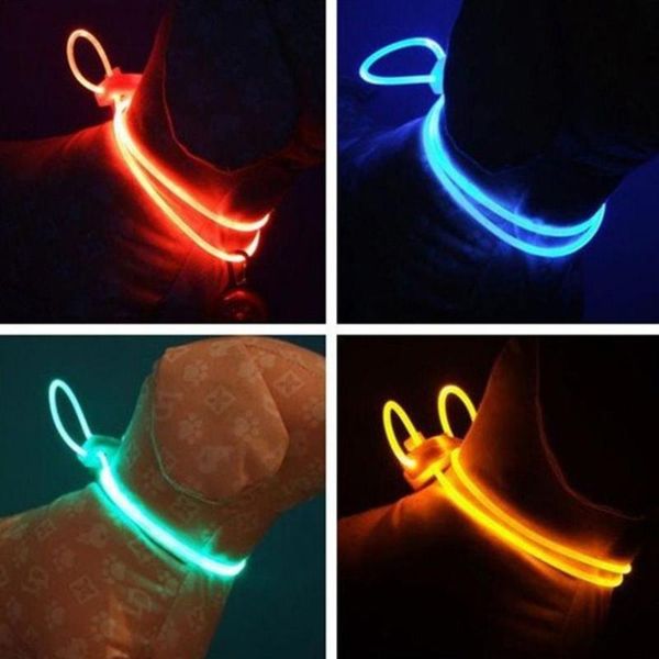 dog collars & leashes 1pc led collar pet puppy night walking adjustable safety luminous light bright
dog collars & leashes 1pc led collar pet puppy night walking adjustable safety luminous light bright