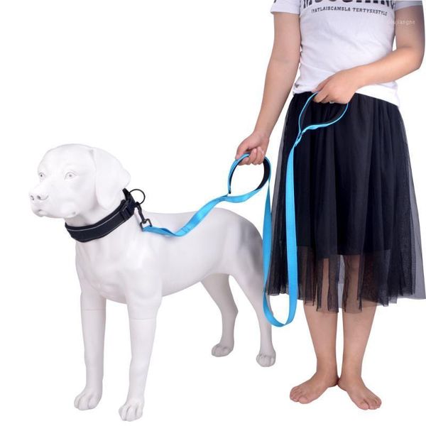 reflective dog leash durable nylon lead leashes for dogs cats outdoor walking training safety pet dog traction rope pet supplies1
reflective dog leash durable nylon lead leashes for dogs cats outdoor walking training safety pet dog traction rope pet supplies1