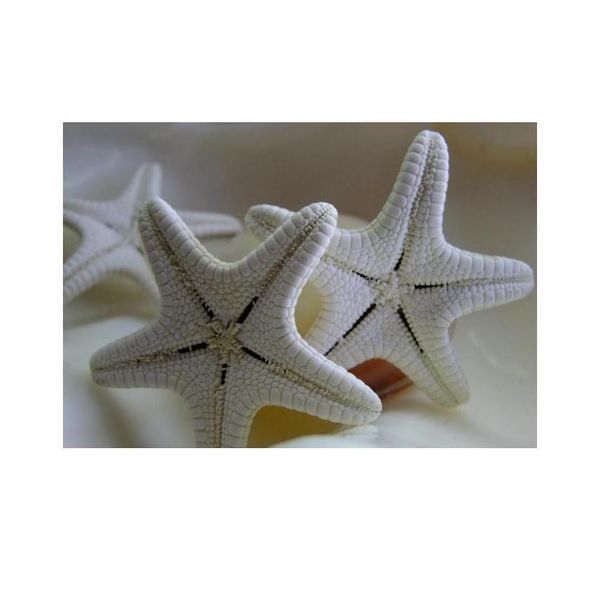 3pcs mediterranean style aquarium natural craft shell artificial sea star fish tankeco ornaments wedding party home jlljtc
3pcs mediterranean style aquarium natural craft shell artificial sea star fish tankeco ornaments wedding party home jlljtc