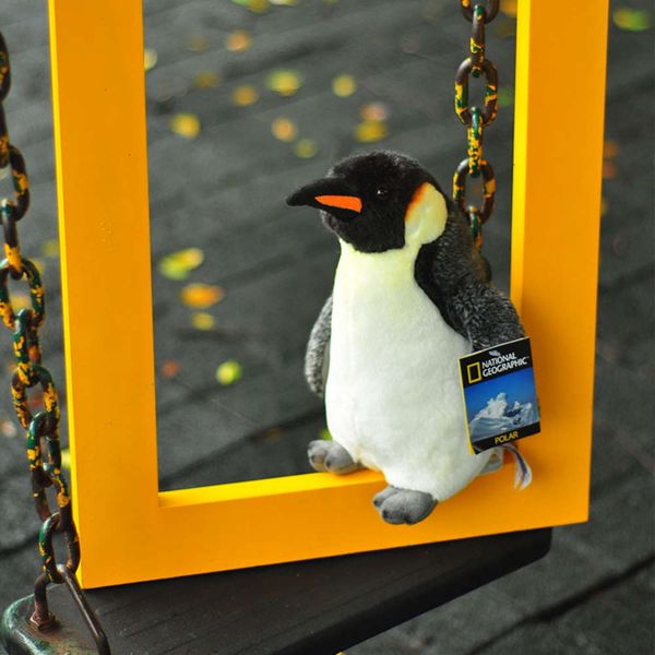 toy penguin bird dongguan 10in play emperor simulation animal plush doll f58k
toy penguin bird dongguan 10in play emperor simulation animal plush doll f58k