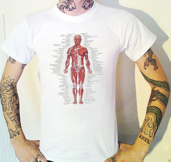 muscular system t shirt anatomical biology anatomy medical new brand short sleeves boy men funny tshirt sport hooded sweatshirt hoodie
muscular system t shirt anatomical biology anatomy medical new brand short sleeves boy men funny tshirt sport hooded sweatshirt hoodie