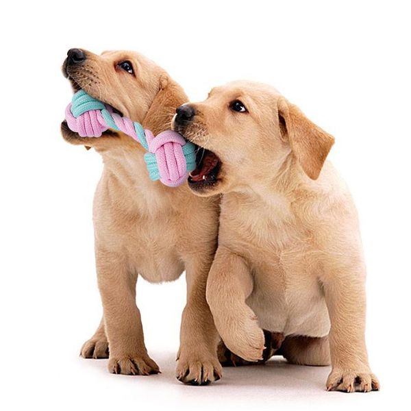 5pcs cotton rope dog toy interactive pet dog puppy chew toys dogs playing training ball teeth cleaning pet sqcgtv
5pcs cotton rope dog toy interactive pet dog puppy chew toys dogs playing training ball teeth cleaning pet sqcgtv