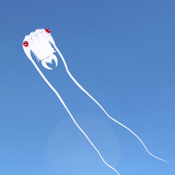 3sq.m 7 10 16 36 45 65 108sq.m large trilobites kites soft nylon ripsfabric alien inflatable kite 1018
3sq.m 7 10 16 36 45 65 108sq.m large trilobites kites soft nylon ripsfabric alien inflatable kite 1018