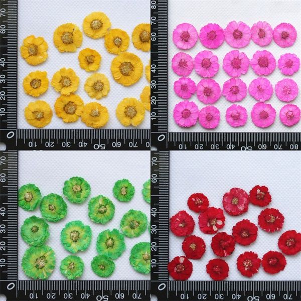 diy daisy сушеный цветок ручной тиснение маникюр маникюр bookmark мобильный телефон оболочка ботаника образец drop clue домой украсить красн
diy daisy сушеный цветок ручной тиснение маникюр маникюр bookmark мобильный телефон оболочка ботаника образец drop clue домой украсить красн