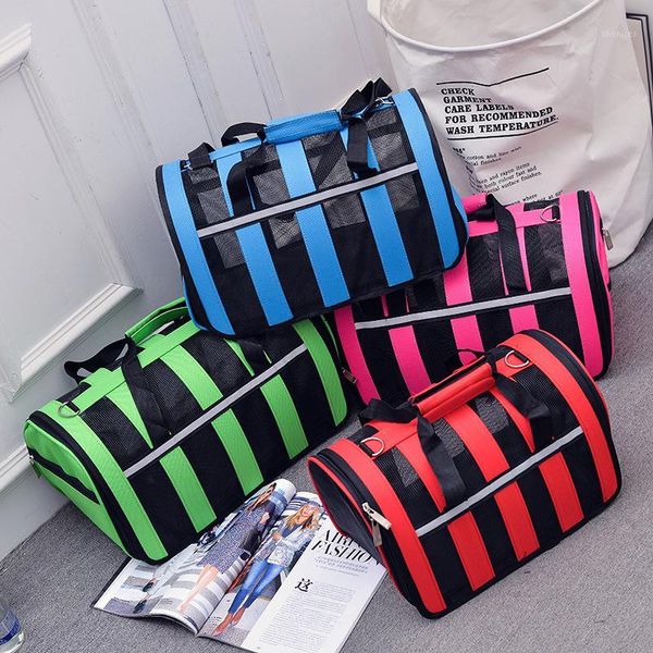 summer large capacity breathable pet bag cat dog bag portable travel outdoor easy to carry pet box dog cat s m l1
summer large capacity breathable pet bag cat dog bag portable travel outdoor easy to carry pet box dog cat s m l1
