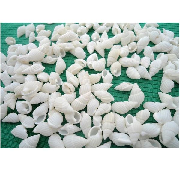 happykiss natural ornament conch shells white jade snail the white cat's eye screw the mediterranean home decoration a qylhtu
happykiss natural ornament conch shells white jade snail the white cat's eye screw the mediterranean home decoration a qylhtu