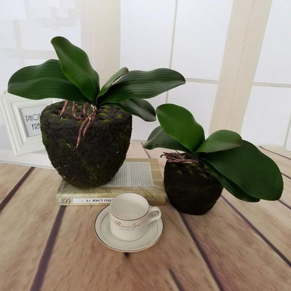 1pcs real touch phalaenopsis leaf artificial plant orchid leaves decorative flowers auxiliary material flower decoration
1pcs real touch phalaenopsis leaf artificial plant orchid leaves decorative flowers auxiliary material flower decoration