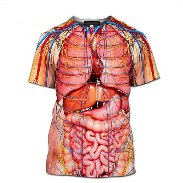 3d print cosplay male skeleton internal organs tshirt harajuku human body t-shirt men women fashion t shirt summer short sleeve, White;black
3d print cosplay male skeleton internal organs tshirt harajuku human body t-shirt men women fashion t shirt summer short sleeve, White;black