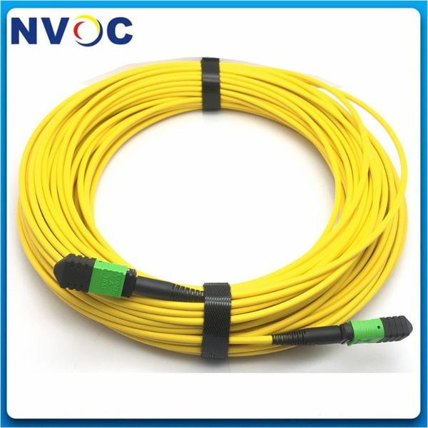 fiber optic equipment 1pcs 12core,mm,om3,b type,mpo female 15m patch cord+1pcs 12c,sm,b type,3.0mm mpo cord
fiber optic equipment 1pcs 12core,mm,om3,b type,mpo female 15m patch cord+1pcs 12c,sm,b type,3.0mm mpo cord